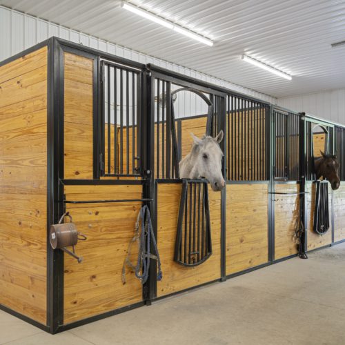 Horse stalls from the Mockingbird Barn Commercial Construction Project