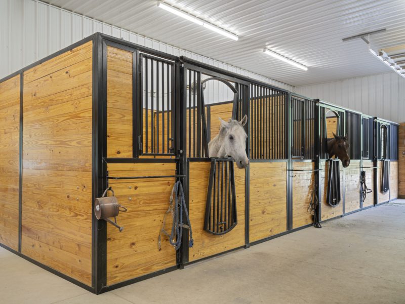 Horse stalls from the Mockingbird Barn Commercial Construction Project