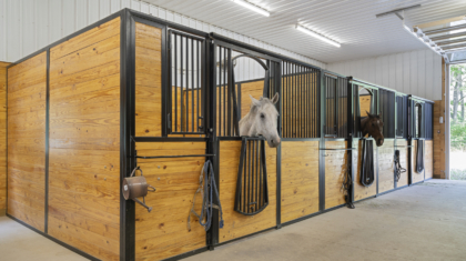 Horse stalls from the Mockingbird Barn Commercial Construction Project