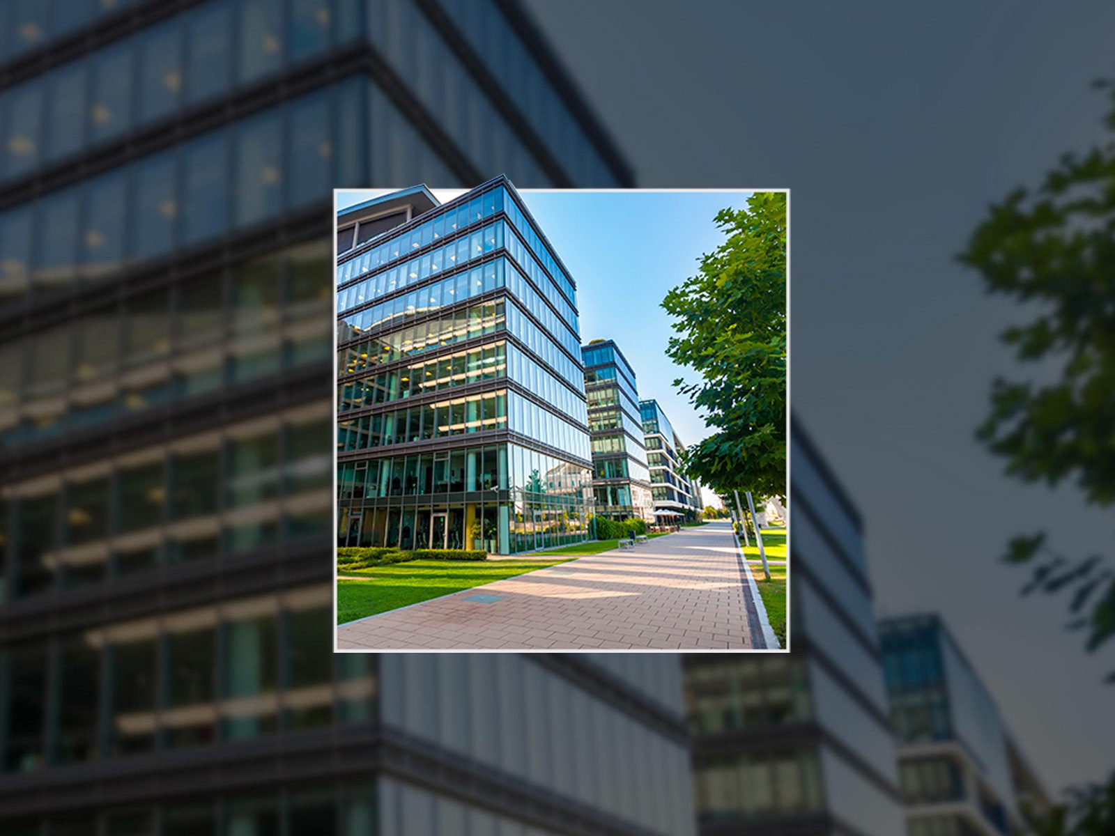 Choosing The Right Property Management Company Miller Diversified